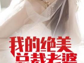 秦阳林霜舞小说《我的绝美总裁老婆》免费阅读