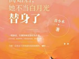 【热文】《离婚后，她不当白月光替身了》主角沈棠谢铮小说全集免费阅读