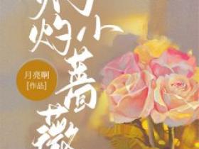 小说灼灼小蔷薇主角为鹿欢傅臻免费阅读