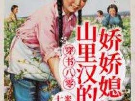 《穿书八零：山里汉的娇娇媳》小说免费阅读 夏宁周俊民大结局完整版