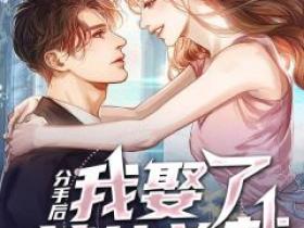 【热文】《分手后，我娶了美女总裁》主角萧辰苏妍小说全集免费阅读