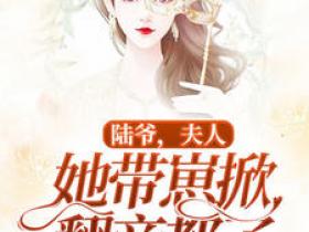 主角是唐慕笙陆厉琛的小说陆爷，夫人她带崽掀翻帝都了最完整版热门连载