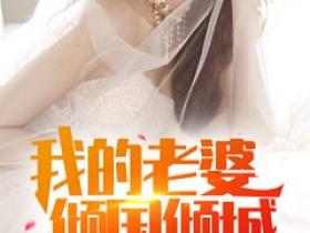 苏阳叶倾城主角抖音小说《我的老婆倾国倾城》在线阅读