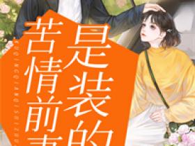 好看的苦情前妻是装的小说，主角宋云欢傅晋言最新章节阅读