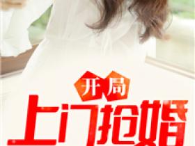 全网首发完整小说开局上门抢婚主角叶天苏小小在线阅读