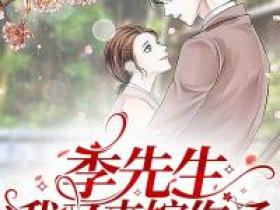 新上《季先生，我又来嫁你了》大芳子小说免费阅读