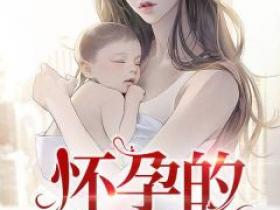 陈淼顾星小说《怀孕的丈夫》全文阅读