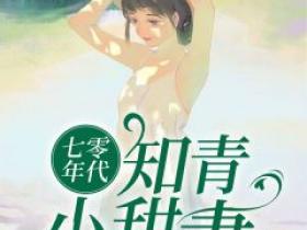 七零年代知青小甜妻小说(完本)-乔安意谢建南无错版阅读