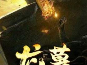 陈原王虎小说哪里可以看 小说《龙墓》全文免费阅读