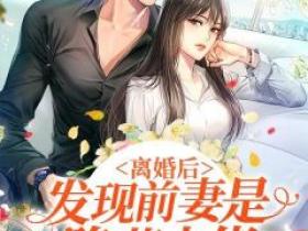 主角穆季云欧阳瑞西小说完整版-离婚后，发现前妻是隐藏大佬免费阅读全文