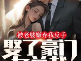 被老婆嫌弃我反手娶了豪门女总裁免费阅读全文，主角刘龙山赵晴小说