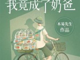 李辉苏雨薇小说抖音热文《火车相遇后，我竟成了奶爸！》完结版
