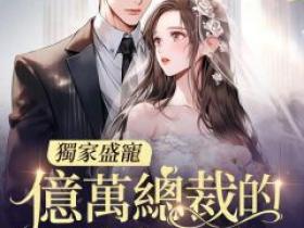 爆款小说《独家盛宠，亿万总裁的二婚新娘》主角陈苏苏贺庭全文在线完本阅读