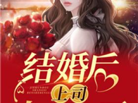 主角安澜苏慕宸小说完整版-结婚后上司人设崩了免费阅读全文
