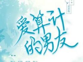 《爱算计的男友》小说免费阅读 于洪唐晓晓大结局完整版
