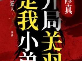 《修真：开局关羽是我小弟》by追风狂人小说完结版在线阅读
