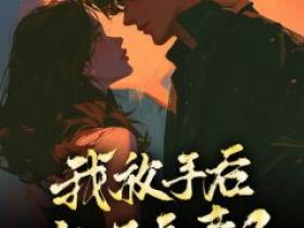 完整版《我放手后，他不愿意了》宋婧江澄小说免费在线阅读