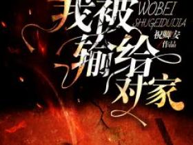 主角是陆七安溟的小说叫什么《清明节，我被输给对家》免费全文阅读