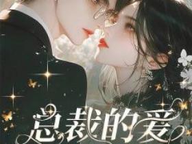 苏晓晓陆泽翰是哪本小说主角 《总裁的爱在微风中》免费全章节阅读