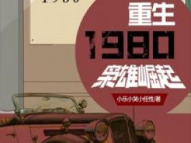 小乐小哭小任性新书重生1980:枭雄崛起在线阅读