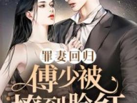 最新小说《罪妻回归：傅少被撩到脸红》大结局阅读