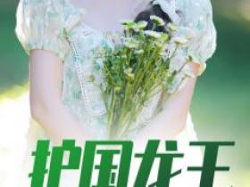 《护国龙王》by天空小说完结版在线阅读