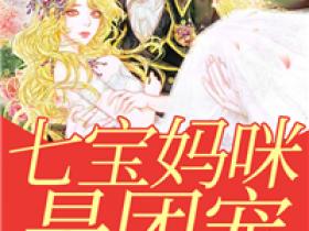 主角是夏沫沫苏沫沫霍琰的七宝妈咪是团宠抖音热门小说