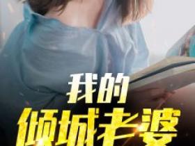 林辰张红梅《我的倾城老婆》小说完整版