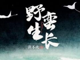 岑雾江怀笙是哪本小说主角 《野蛮生长》免费全章节阅读