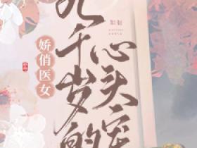 《娇俏医女，九千岁的心头宠》（林茹烟柳烬）精彩小说目录阅读