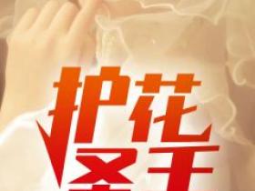 林峰苏晴小说哪里可以看 小说《护花圣手》全文免费阅读