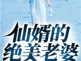 主角是柳青易白秋的小说仙婿的绝美老婆最完整版热门连载