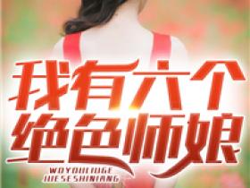 《我有六个绝色师娘》by鸿鹄之志免费阅读小说大结局