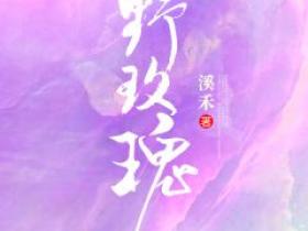 主角是姜姒裴砚的小说叫什么《野玫瑰》免费全文阅读