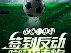 主角陈欢埃尔克森小说爆款《足球：开局签到反动蹴迅速炮》完整版小说