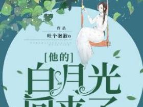 《他的“白月光”回来了》小说唐欣穆宇恒免费阅读