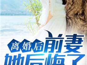 离婚后前妻她后悔了小说最新章节 江川苏木结局是什么