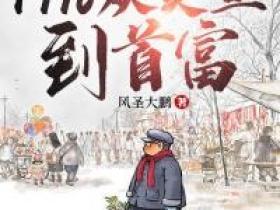 《狂飙1996：从卖鱼到首富》小说陈安严国海免费阅读