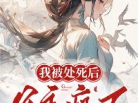 徐子渊苏宛宜全本小说 《我被处死后，公主疯了》全文免费在线阅读