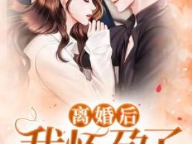 《离婚前，我怀孕了》小说免费阅读 南七陆云谨大结局完整版