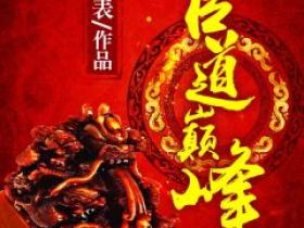 爆款小说《绝对巅峰》在线阅读-王晓松曹飞燕免费阅读