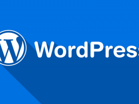 WordPress使用前端投稿功能时怎么插入文章标签