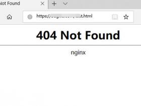 宝塔面板WordPress使用自定义404页面不生效怎么回事
