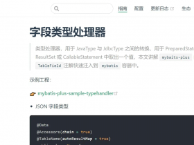 MyBatisPlus TypeHandler自定义字段类型转换Handler
